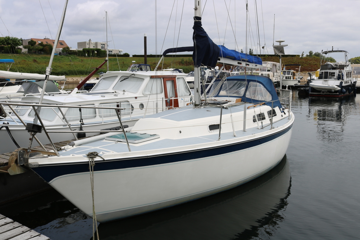 Zeilboot Cal 31 - Foto 4
