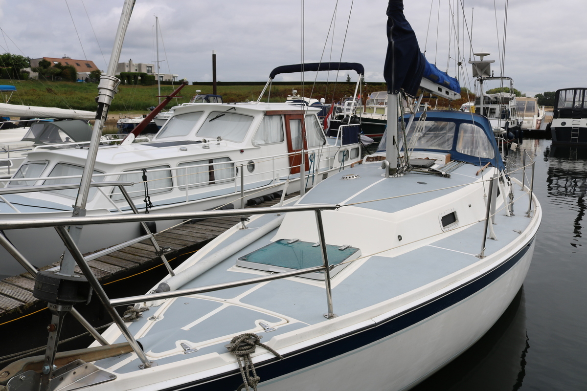 Zeilboot Cal 31 - Foto 9
