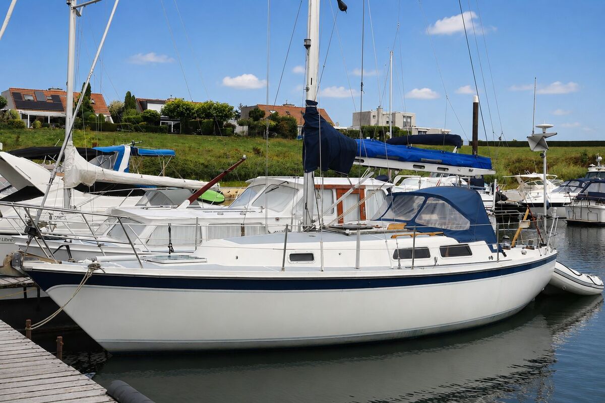 Cal 31 1979 – Océanganger met nieuwe Vetus motor - Foto 5