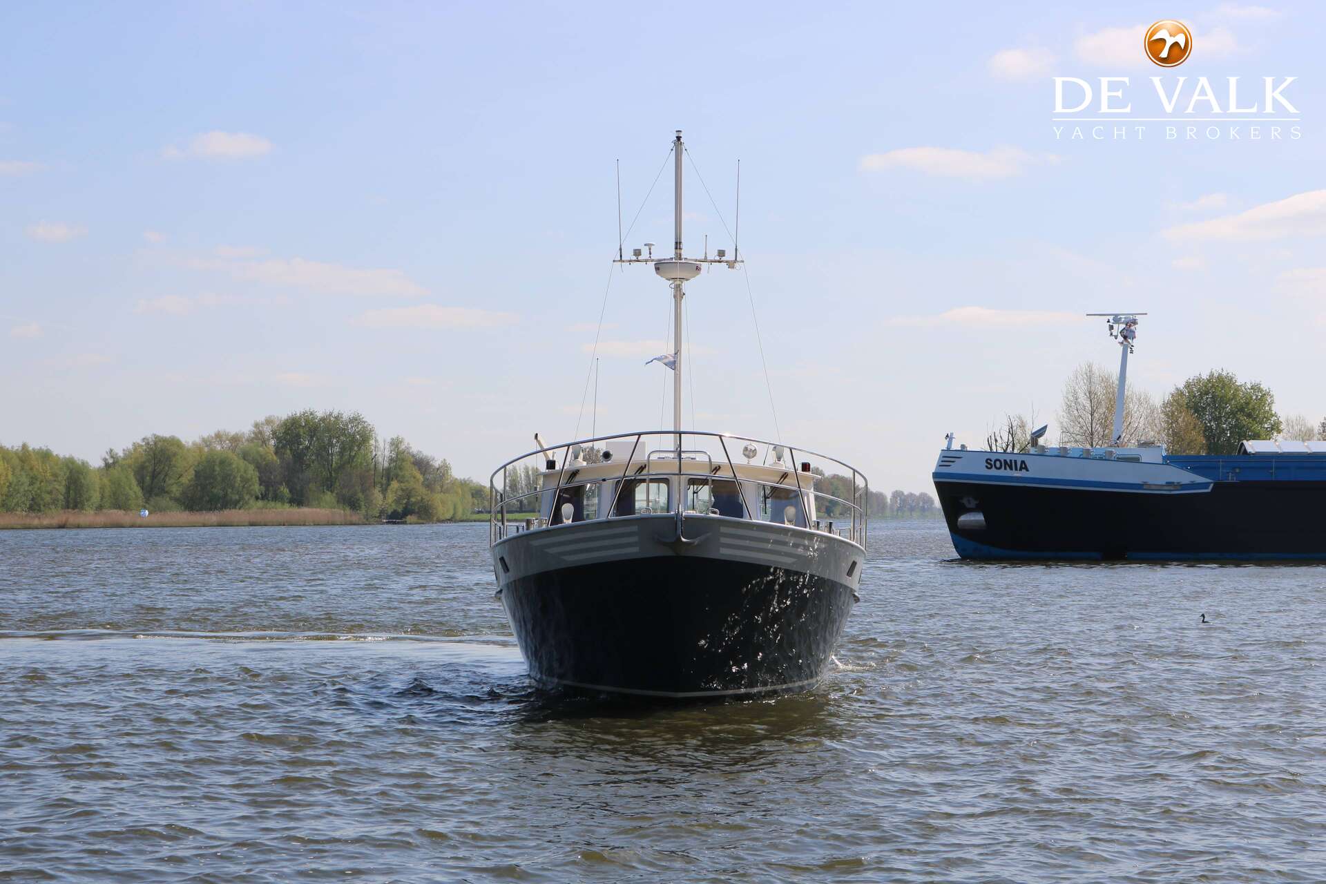 Pilot Whale 45 - Foto 2