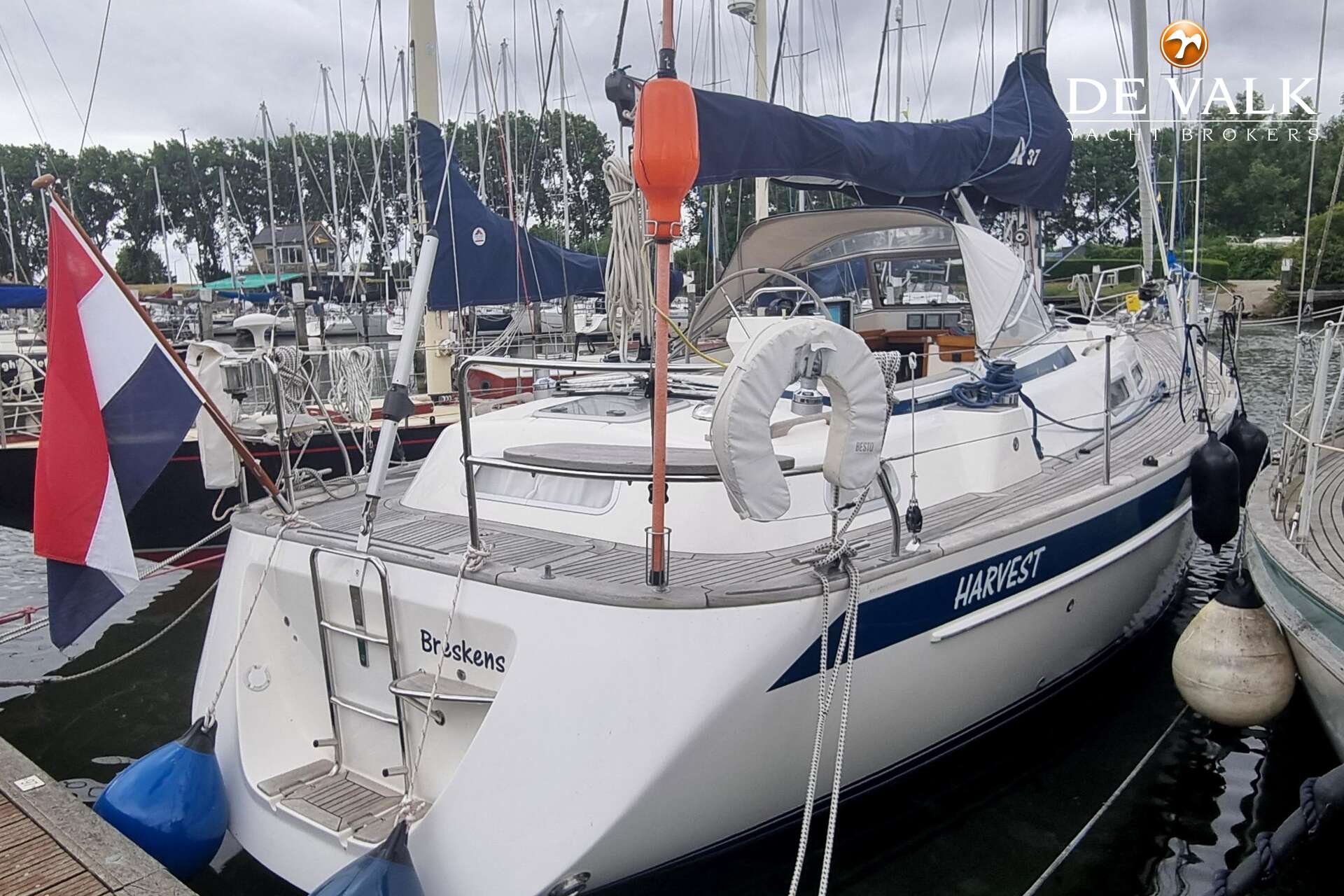 Hallberg Rassy 37 - Foto 5