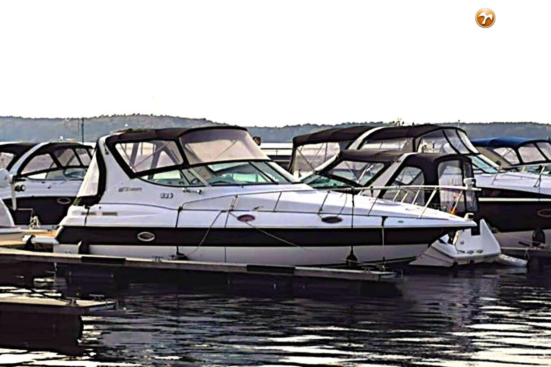 Cruisers Yachts 3075 Rogue - Foto 8