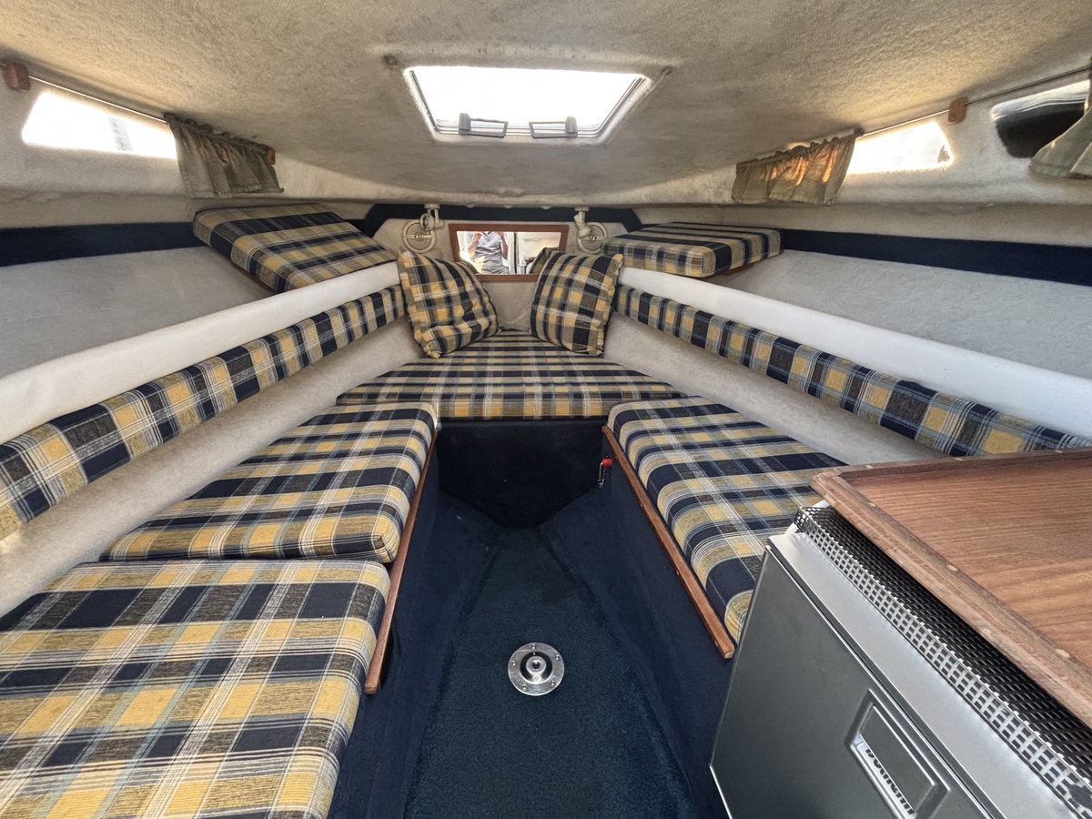 Campion 672 Explorer - Foto 4