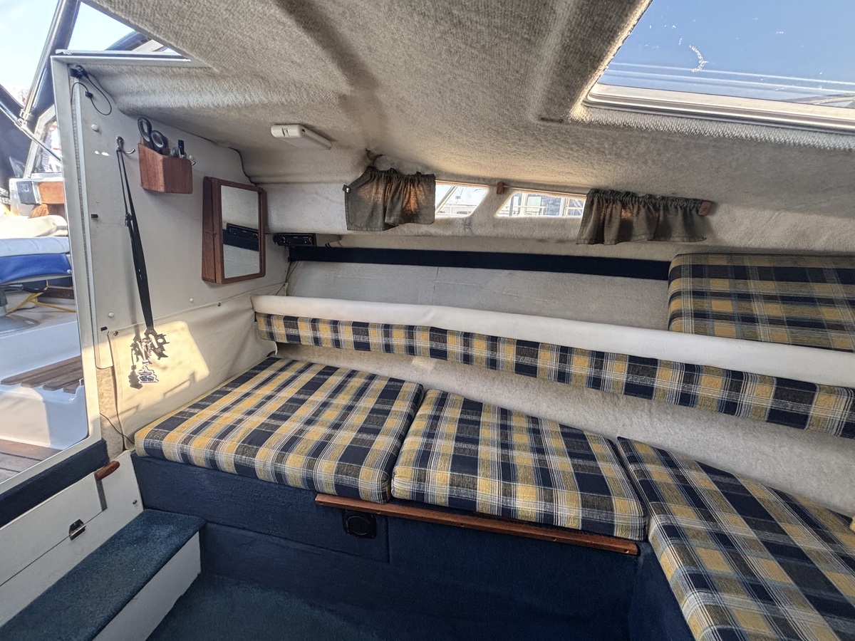 Campion 672 Explorer - Foto 6