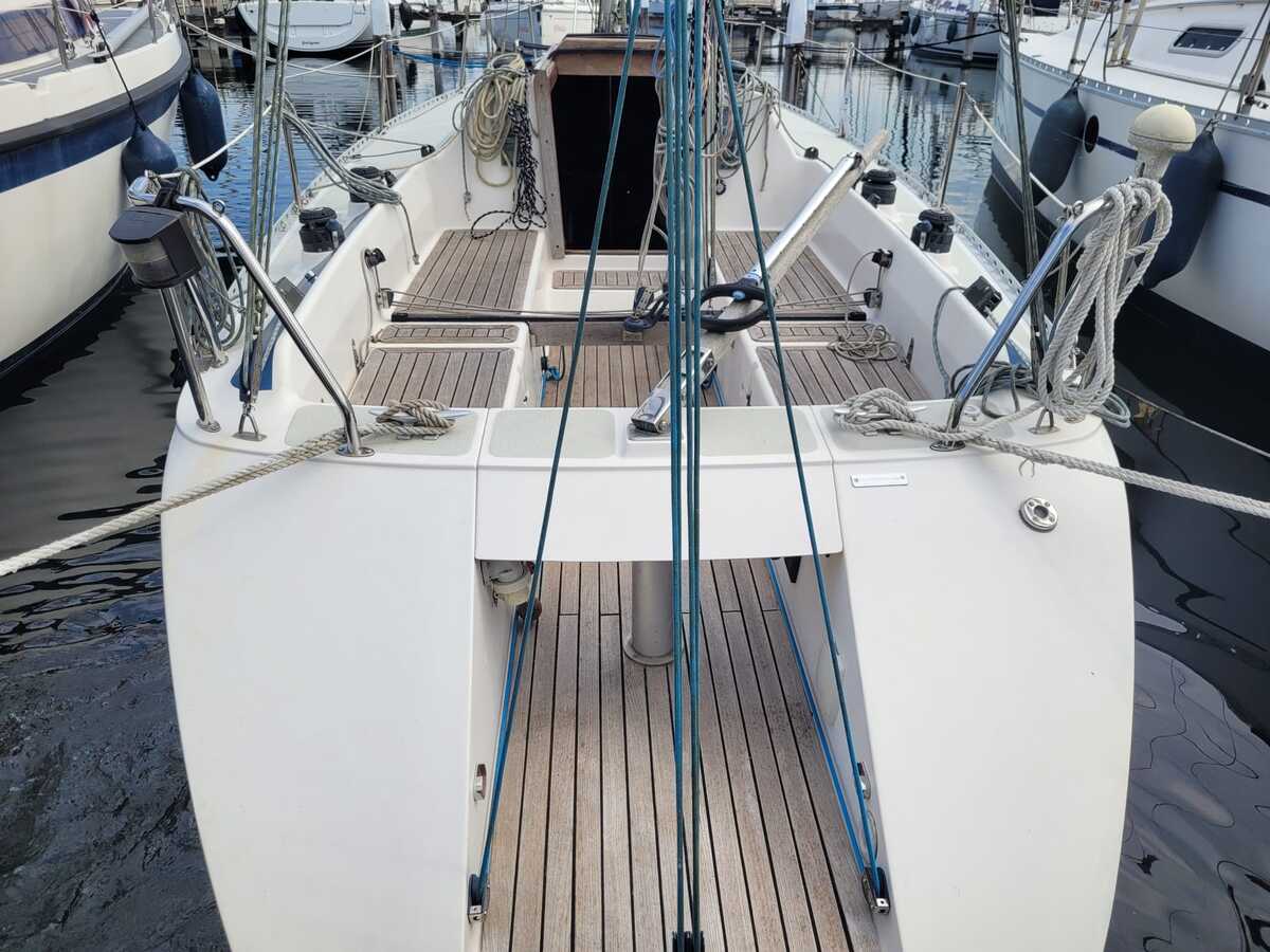 Diamant 3000 2000 – Performance zeiler met Kjaerluff-DNA - Foto 16