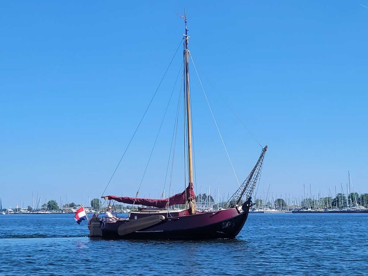 Van Rijnsoever Vollenhovense Bol 2003 – authentieke klassieker - Foto 30