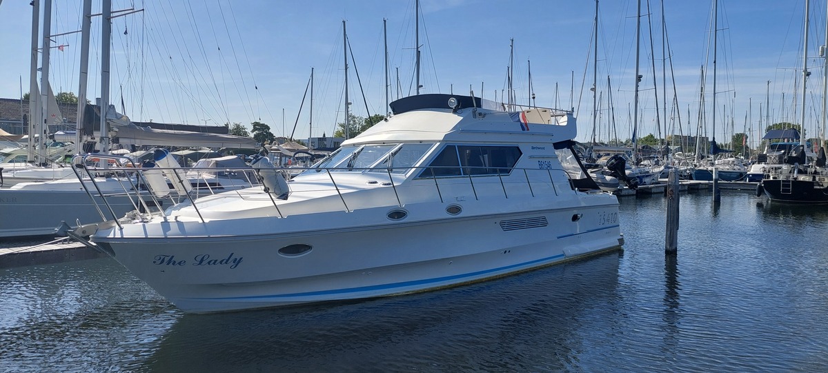 BIRCHWOOD TS410 - Foto 1