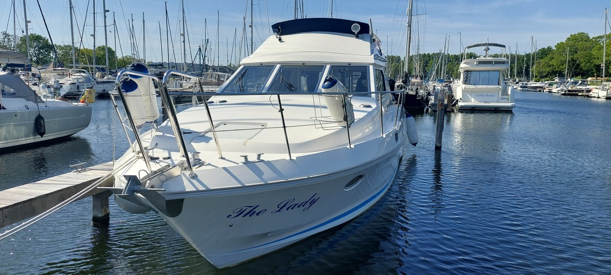 BIRCHWOOD TS410 - Foto 23