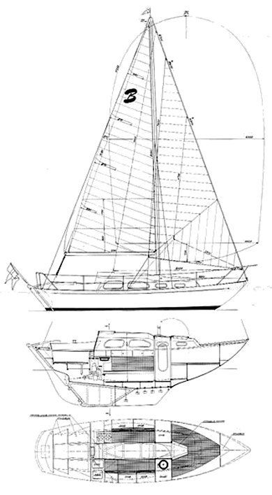 Bianca 27 - Foto 22