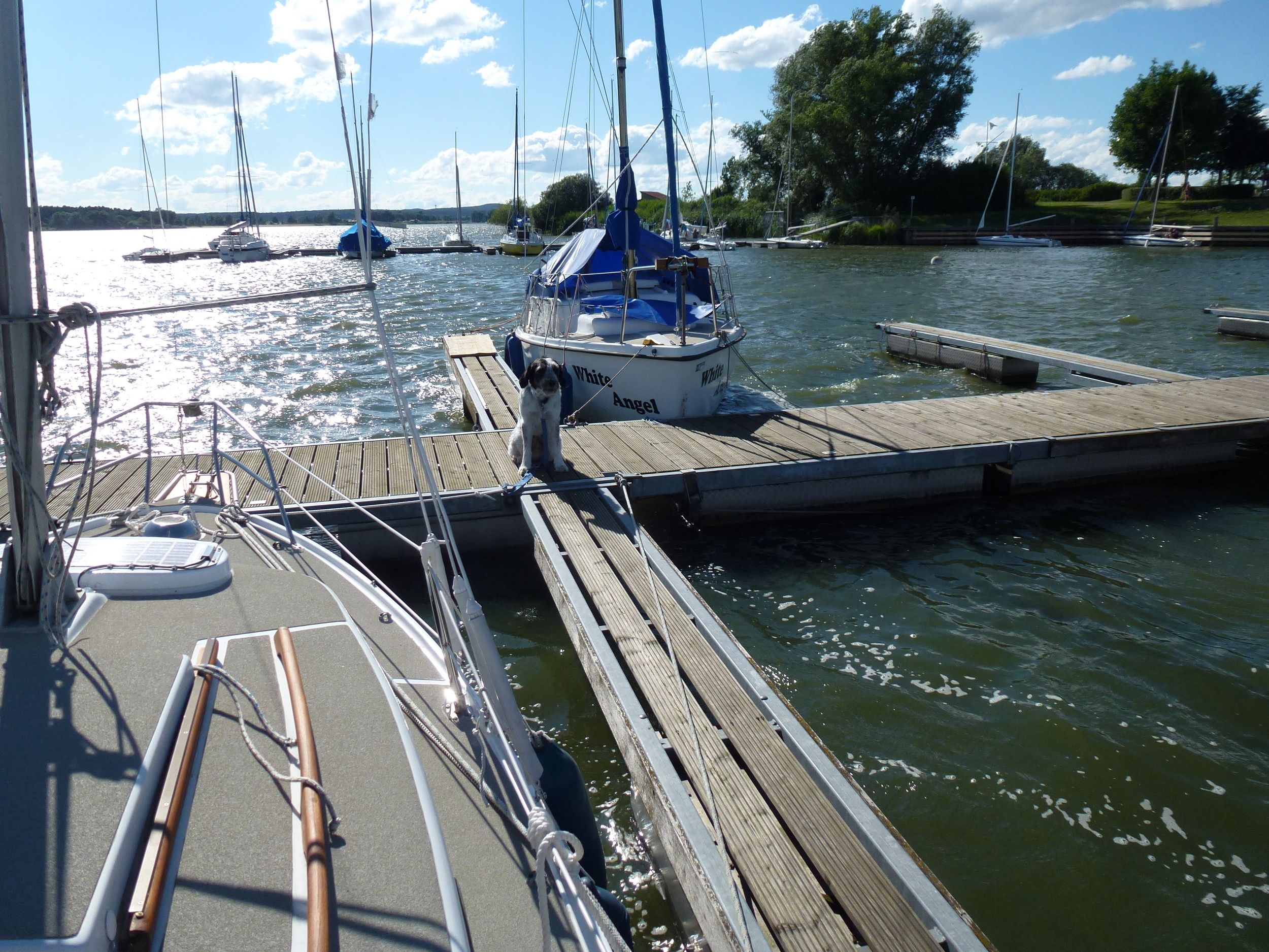 Neptun 212 S - Foto 29