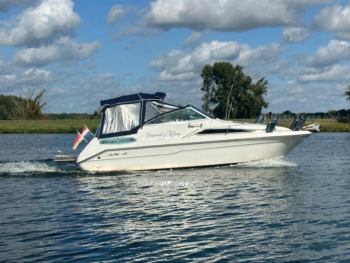 Sea Ray 220DA - Foto 1