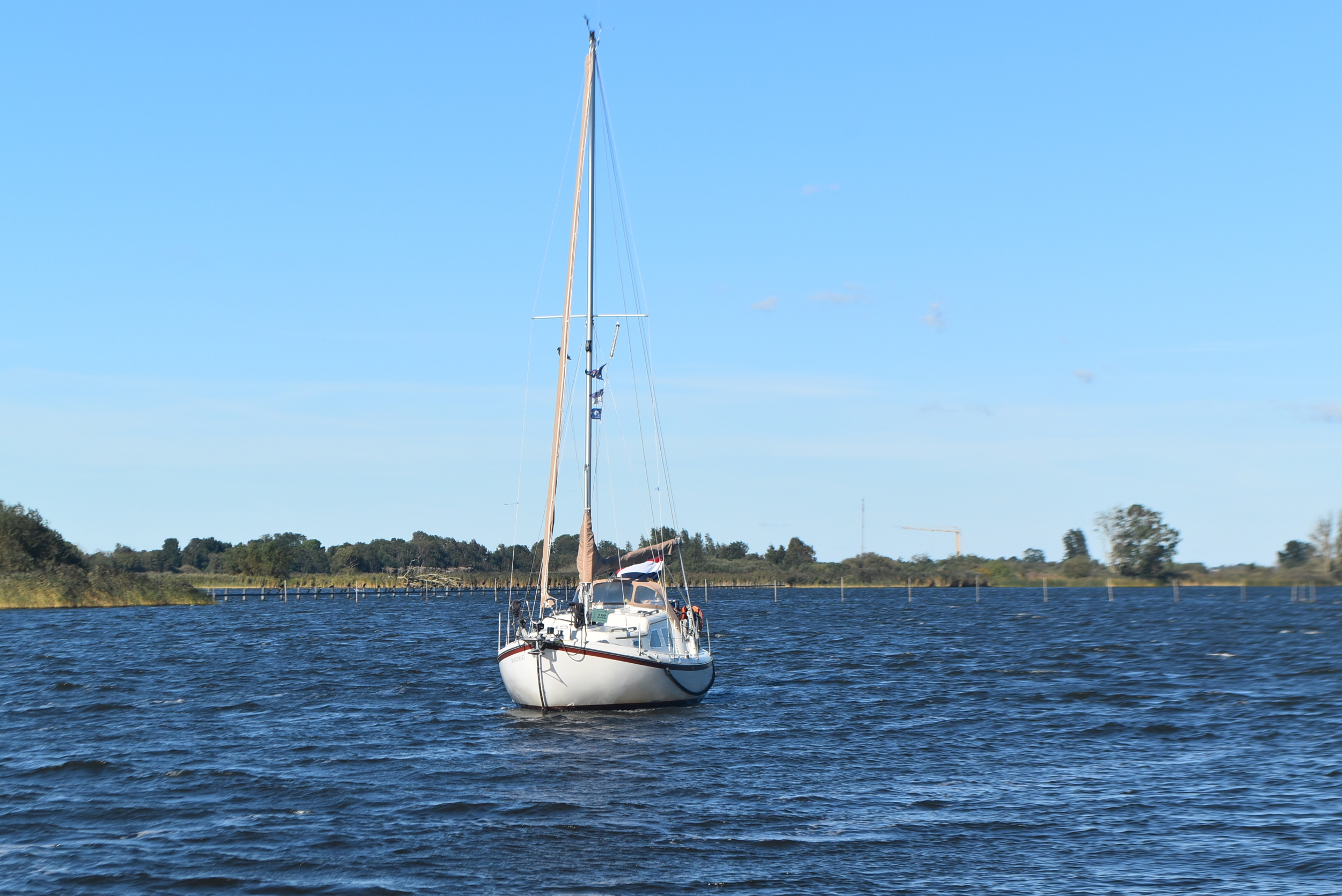 Midget 26 - Foto 8