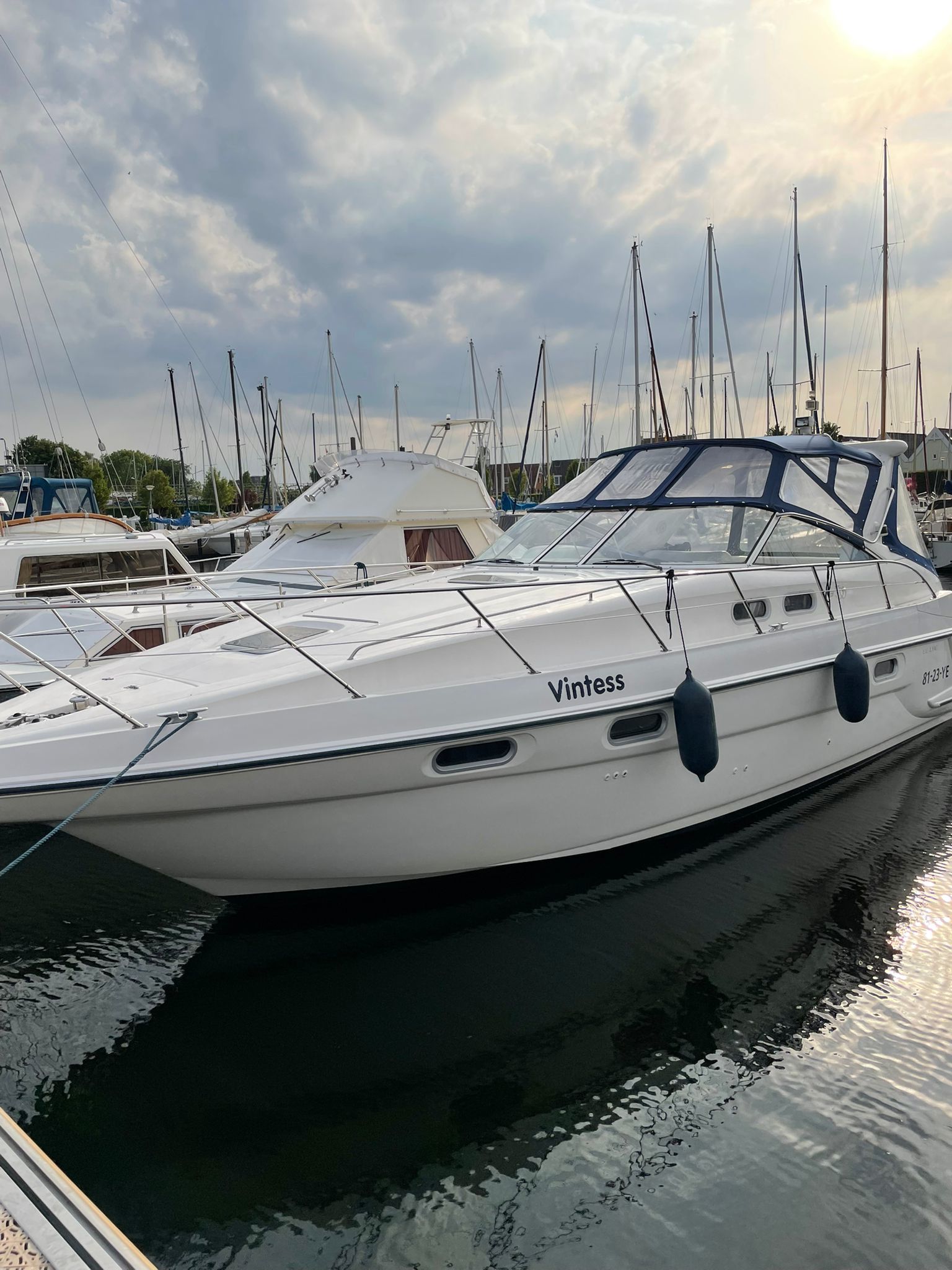 Sealine S37 - Foto 2