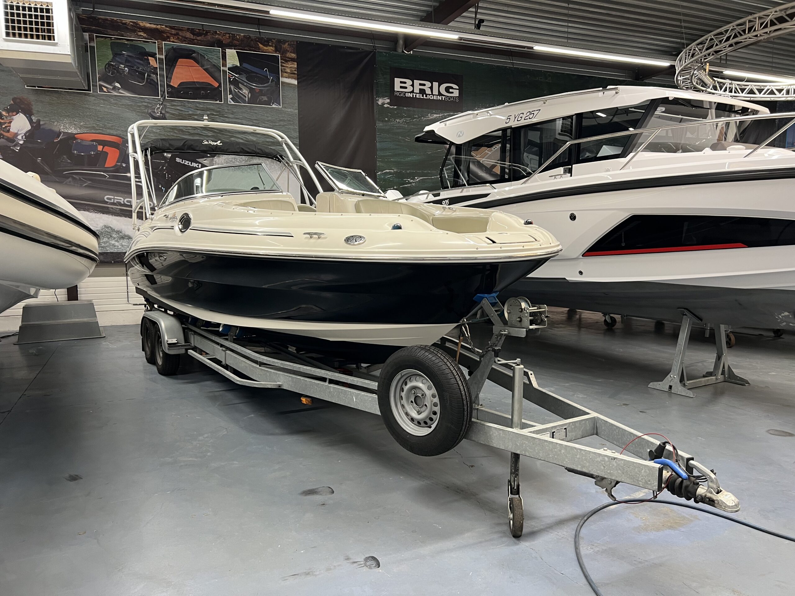 Sea Ray - Foto 1
