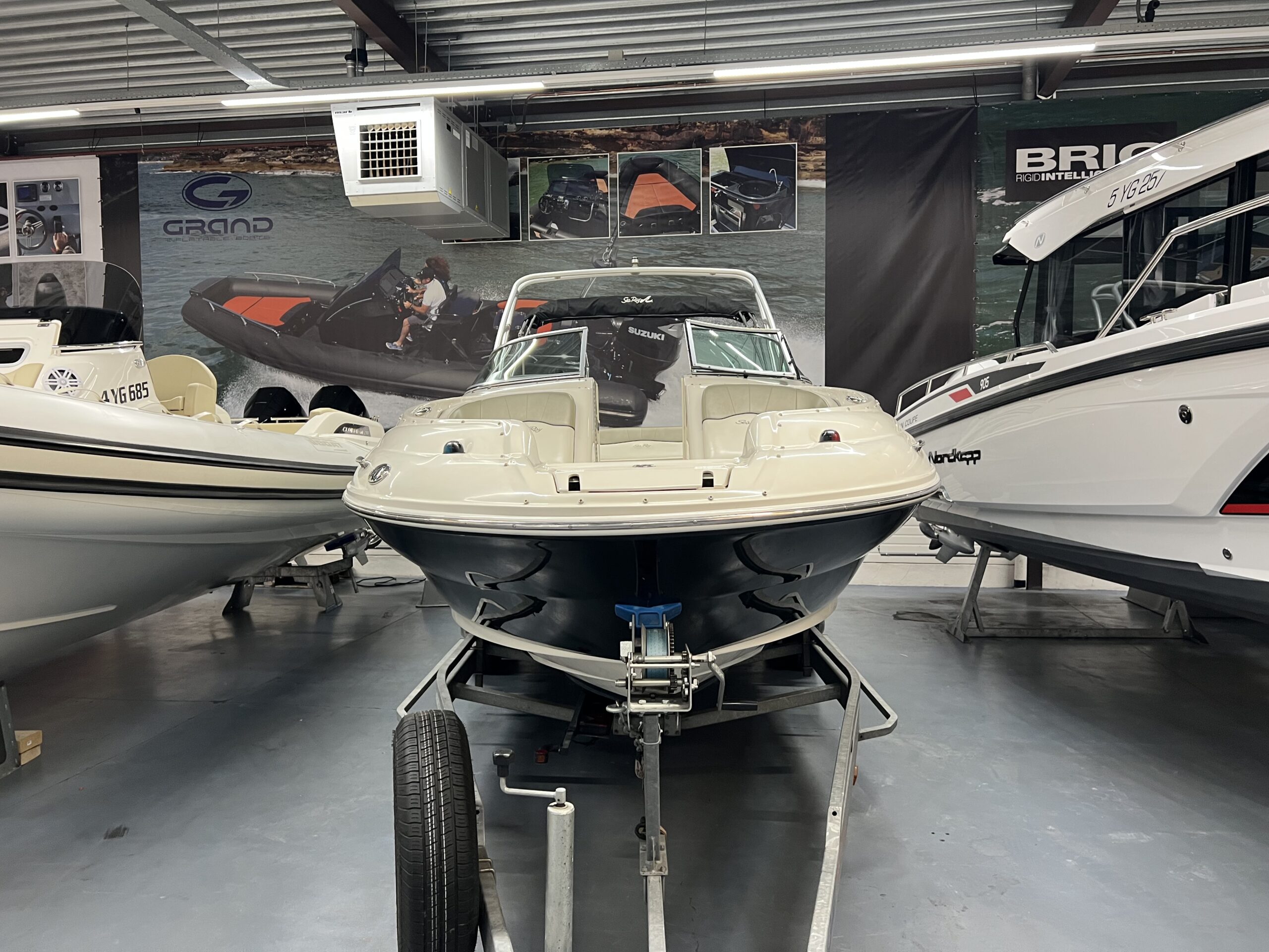 Sea Ray - Foto 3