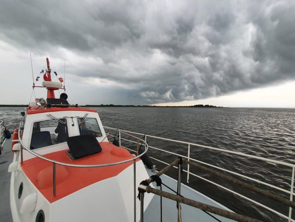 Nelson Halmatic Pilot 40 FT 1974 – Iconische loodsboot - Foto 8
