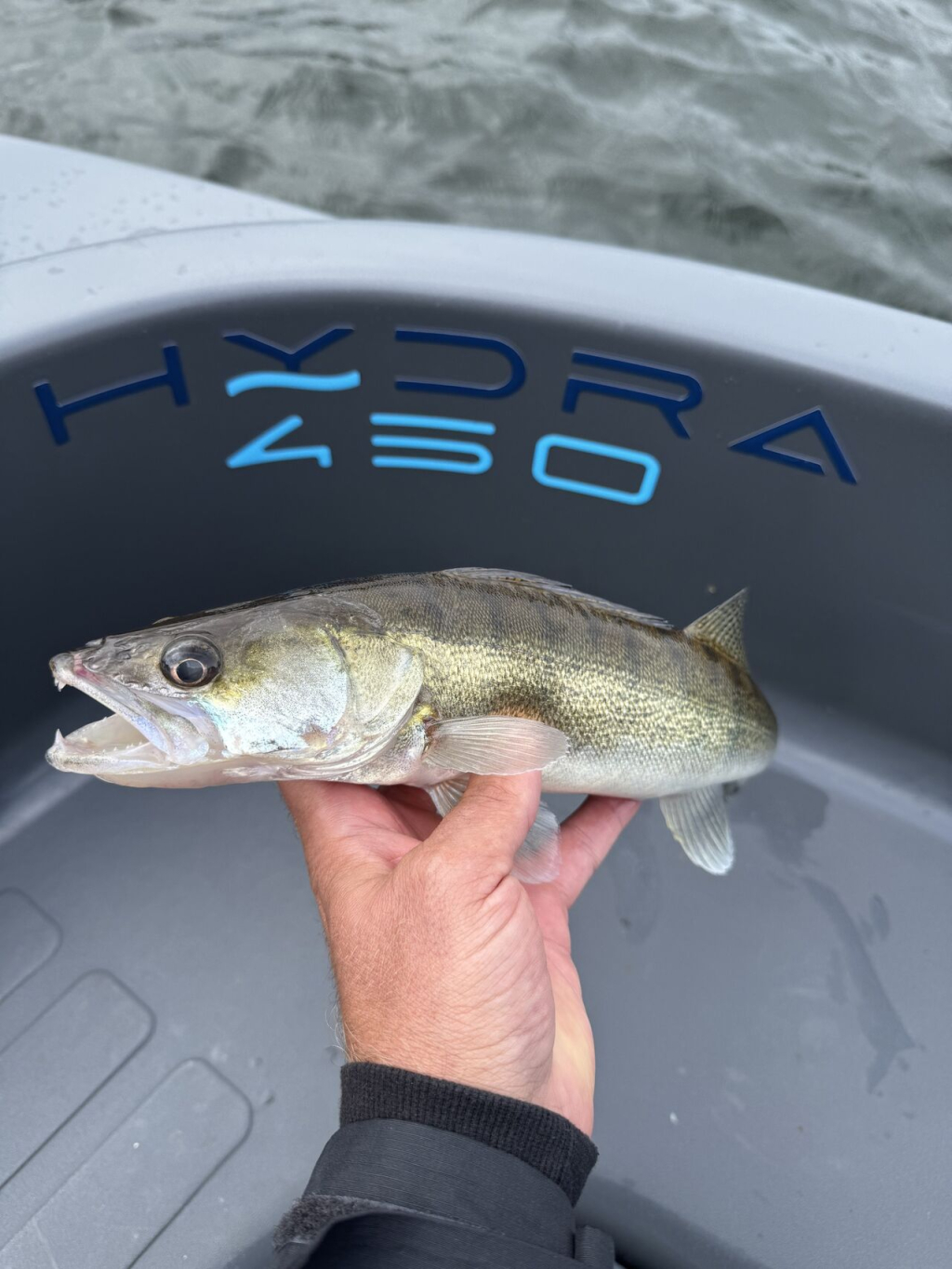 Roto Hydra450 Fishing 2024 – vrijwel onderhoudsvrij - Foto 8
