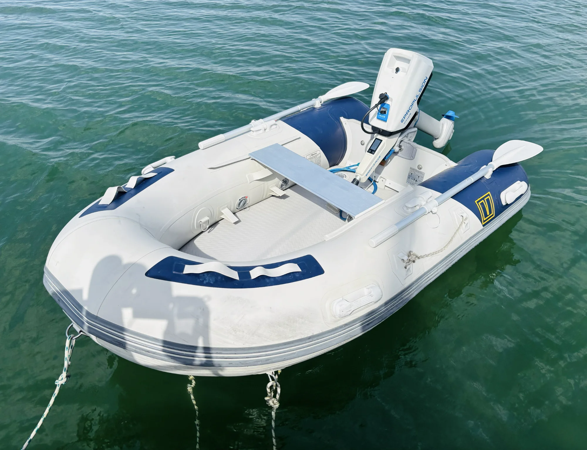 Vetus (uit 2020, 2.3m)