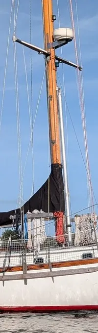 ORCA 38 - Foto 1