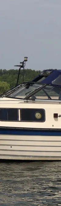 Een witte motorboot met blauwe accenten en de naam "IJsvogel" vaart op een waterweg met bomen op de achtergrond. — Joda 7500
