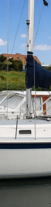 Cal 31 1979 – Océanganger met nieuwe Vetus motor - Foto 5