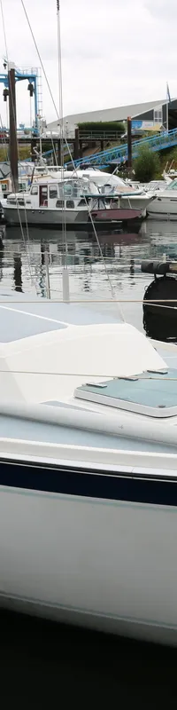 Cal 31 1979 – Océanganger met nieuwe Vetus motor - Foto 7
