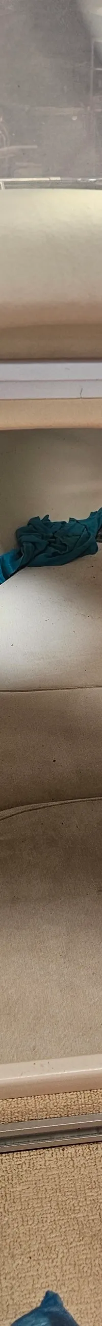 Een interieur van een boot met beige kussens, een blauwe doek en een zwart voorwerp in de boeg. — Cranchi 21 Ellipse