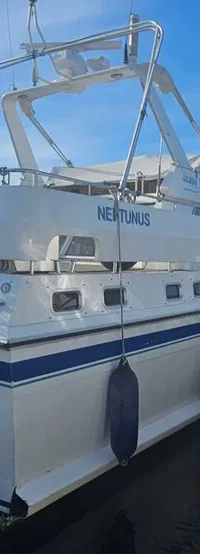 Neptunus 133 Flybridge - Foto 6