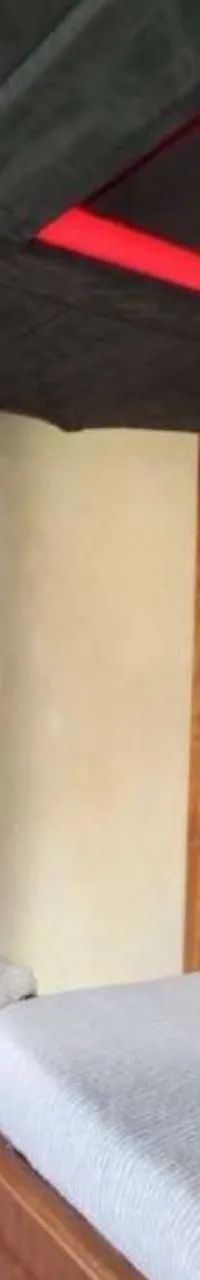 Thumbnail 22