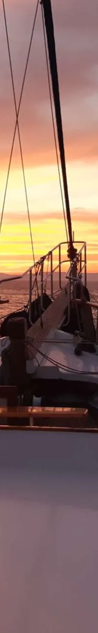Gulet 24 m Exclusive Luxury Charter - Foto 18