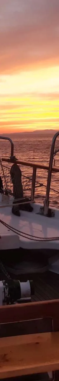 Gulet 24 m Exclusive Luxury Charter - Foto 19