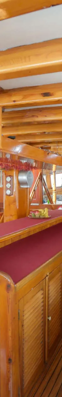 Gulet 24 m Exclusive Luxury Charter - Foto 22