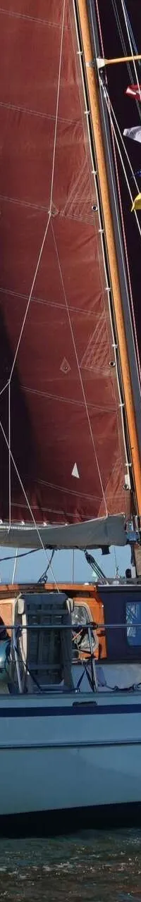 Een witte zeilboot met bruine zeilen vaart op open water onder een heldere blauwe lucht. — Volkerak 46