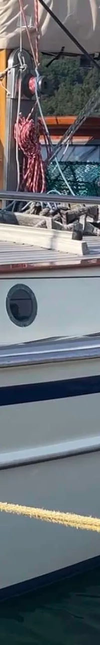 Een witte zeilboot met een blauwe streep ligt aangemeerd aan een betonnen kade, met een bosrijke heuvel op de achtergrond.