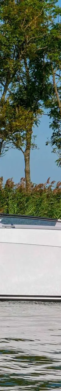Een witte boot met de tekst 'SALUT 29 DEMO' en '3-YD-165' vaart op water met riet en bomen op de achtergrond. — Salut 29