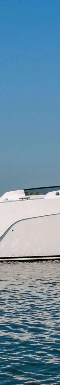 Een witte boot met de naam "SALUT 29" en registratienummer "3-YD-165" vaart op water, met een Evinrude buitenboordmotor.