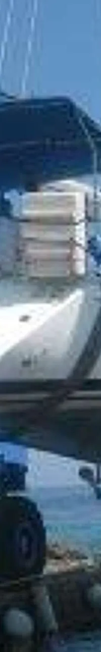 Thumbnail 16