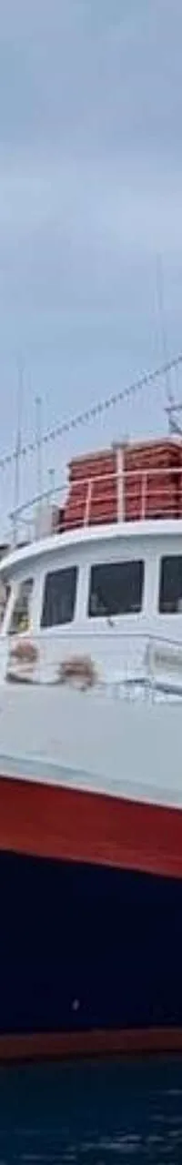 Auto-/Passagiersveerboot 40m 1970 – Stalen Ro-Ro Veerboot - Foto 7