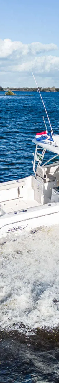 Boston Whaler 285 Conquest Pilothouse 2022 – Twin V8 outboards - Foto 18