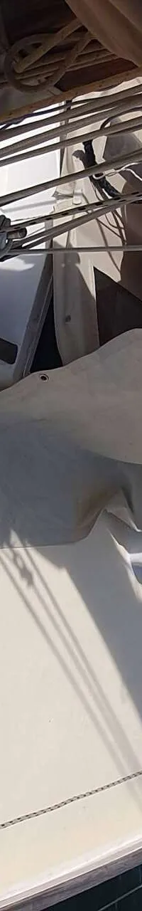 Thumbnail 15
