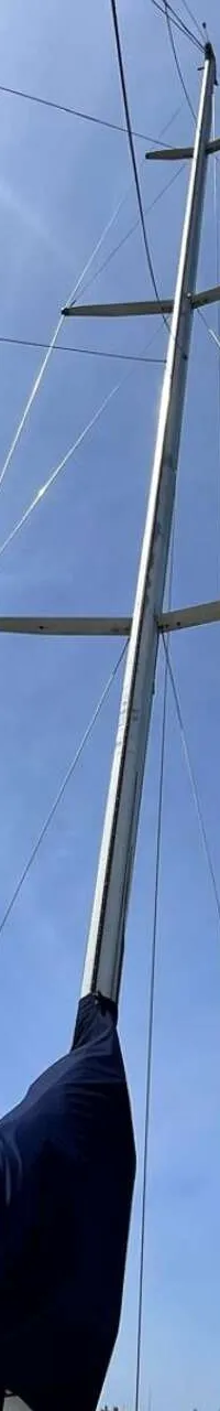 Thumbnail 15