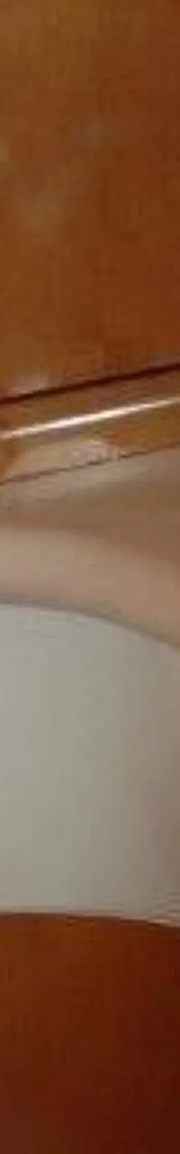 Thumbnail 17