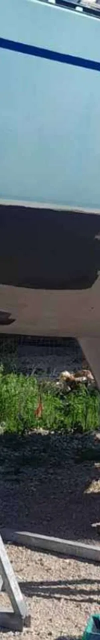 Thumbnail 13