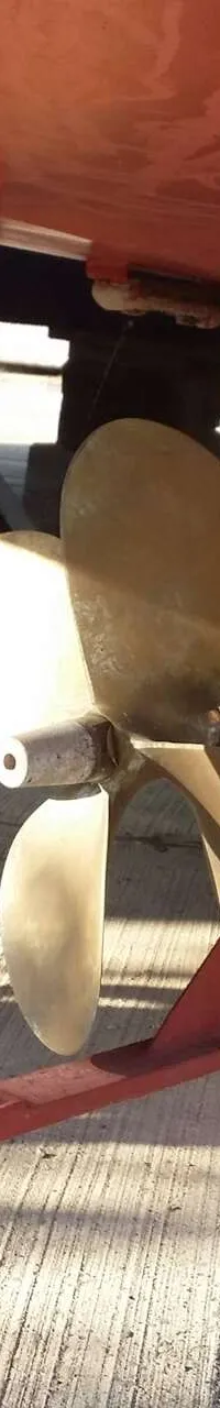 Thumbnail 18