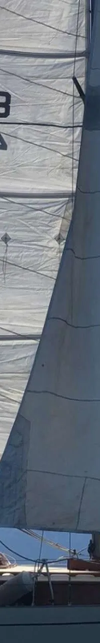One Off Classic S/Y Lee Randel 33 1966 – Australian Heritage - Foto 2