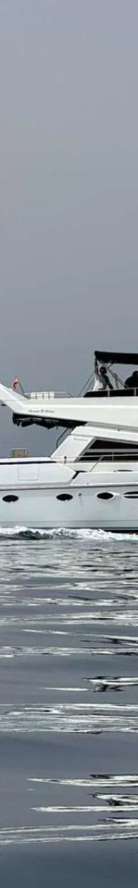 Een witte motorboot vaart op rustig water, met een zeilboot en een stad aan de horizon. — Johnson 56