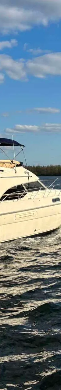 Sealine 390 Fly - Foto 4