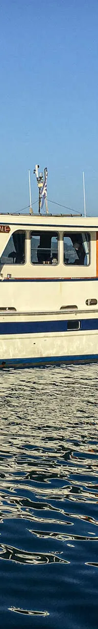 De Ruiter Kotter 1450 - Foto 1