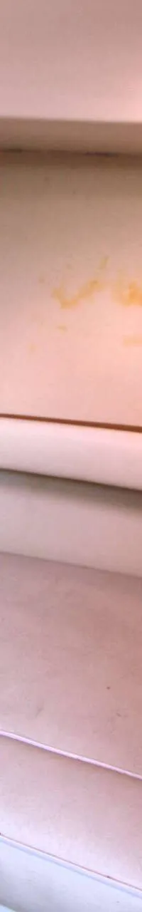 Thumbnail 23