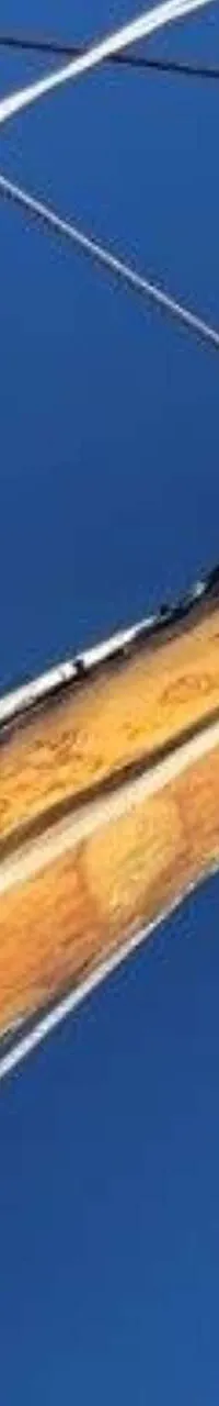 Thumbnail 17